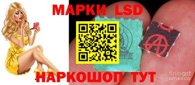 стафф Заводоуковск