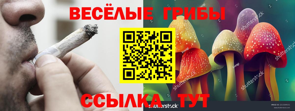 Псилоцибиновые грибы мухоморы  Вход с VPN  Псилоцибиновые грибы прущие грибы  Ирбит 