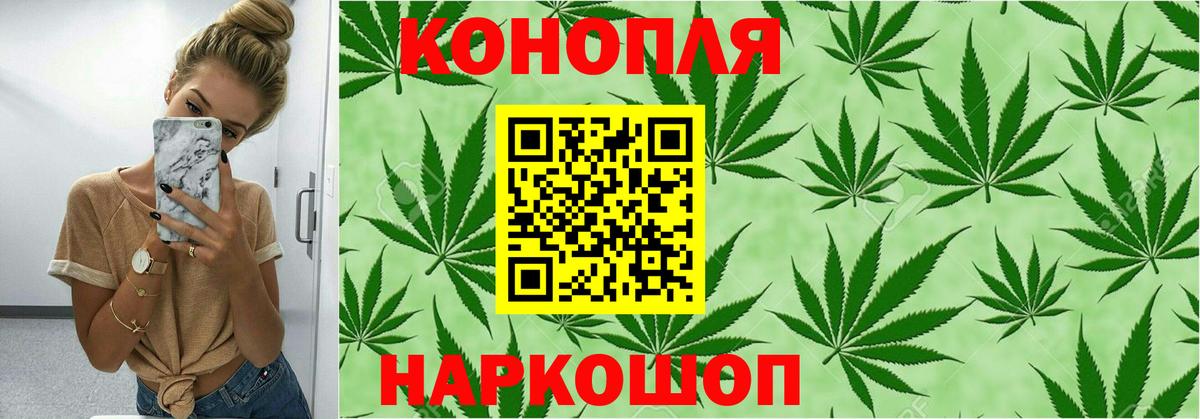 Каннабис тримм  Марихуана планчик  Марихуана Amnesia  Ирбит  МАРИХУАНА план  Вход с VPN 